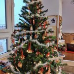 phoca_thumb_m_krteci stromeek 17 Fotogalerie